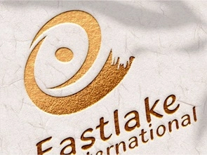 东湖国际——VIS系统设计