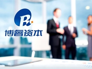 博睿资本——VIS系统设计